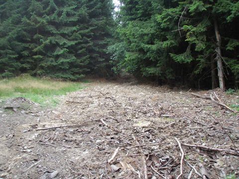 Foto 39